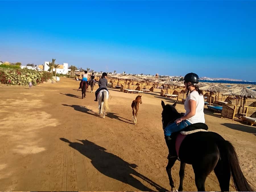 From Hurghada: Makadi Bay Horse Riding Tour - Sunrise riding and the 5:00 AM breakfast option