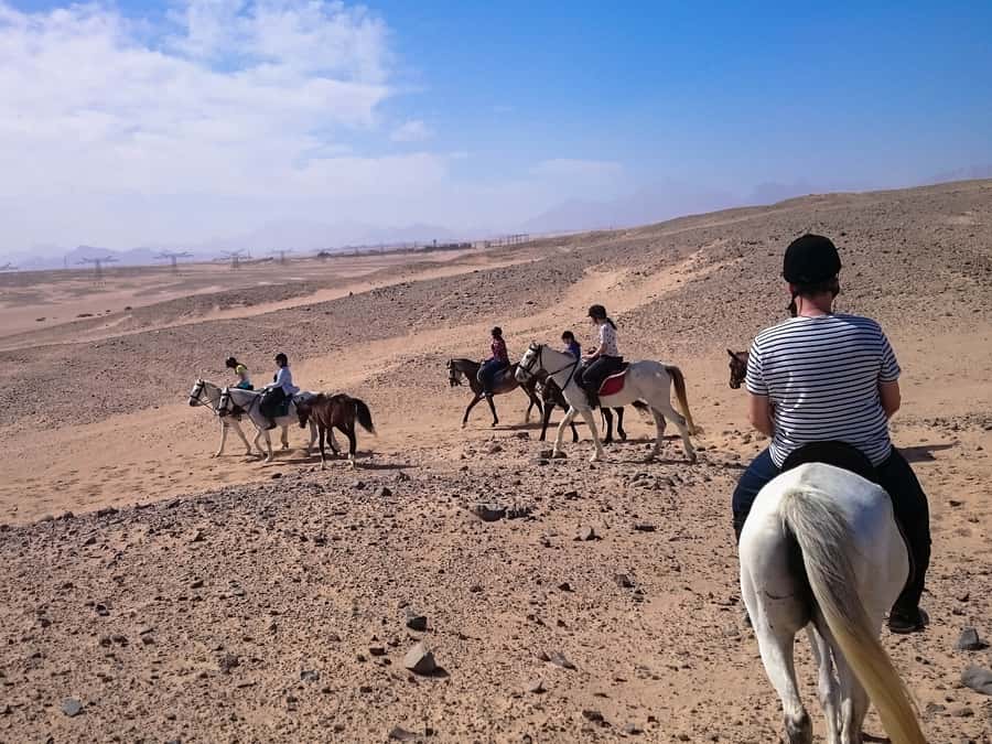 From Hurghada: Makadi Bay Horse Riding Tour - The quad bike and horse riding combination