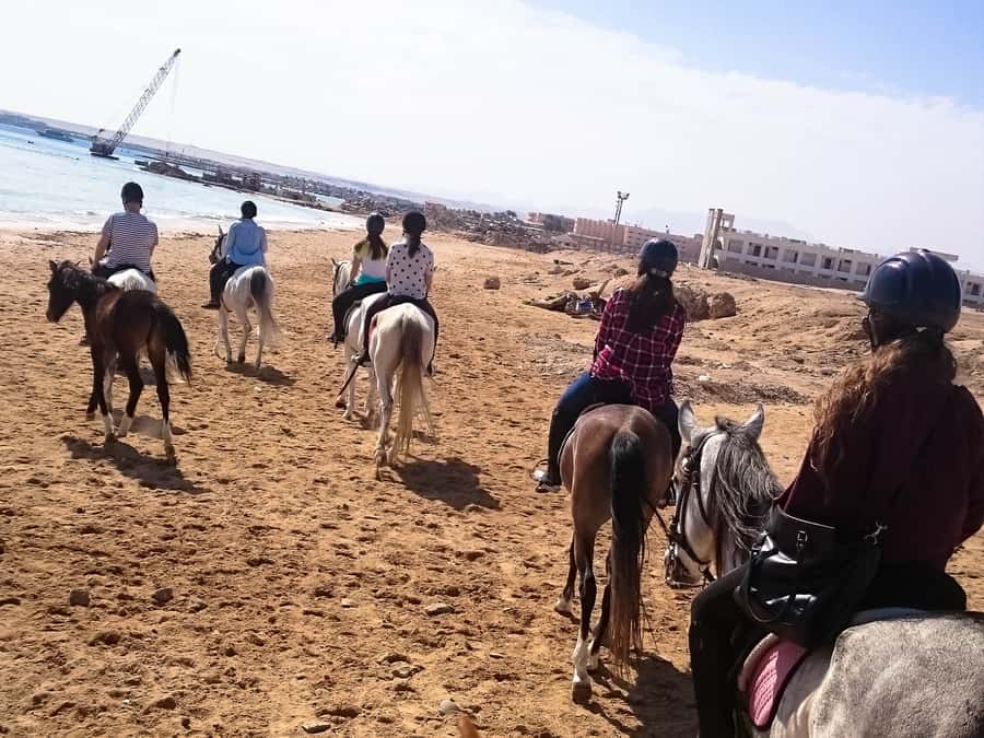 From Hurghada: Makadi Bay Horse Riding Tour - The VIP four-hour ride and Red Sea swim stop