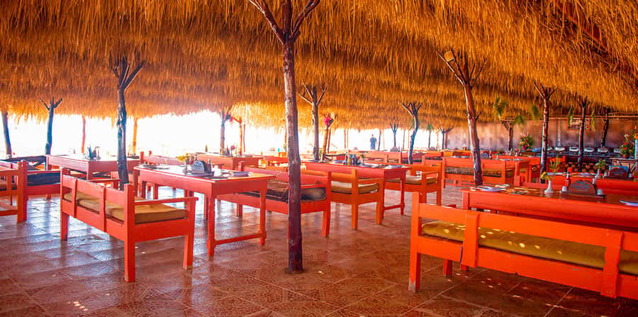 From Hurghada: Paradise Island Snorkeling Cruise with Lunch - Is $30 good value?