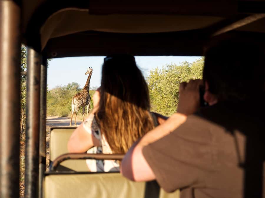 From Johannesburg: 3-Day Budget Tent Kruger Park Safari - Why this short safari works from Johannesburg