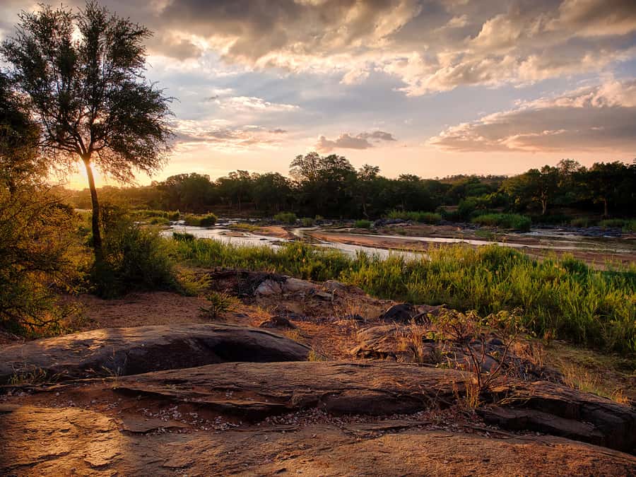 From Johannesburg: 3-Day Budget Tent Kruger Park Safari - Sunset on Balule, then a BBQ in the bush