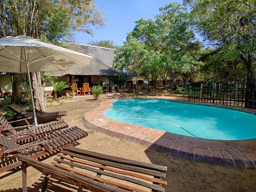 From Johannesburg: 3-Day Budget Tent Kruger Park Safari - Breakfast at Tremisana and a full day at Orpen