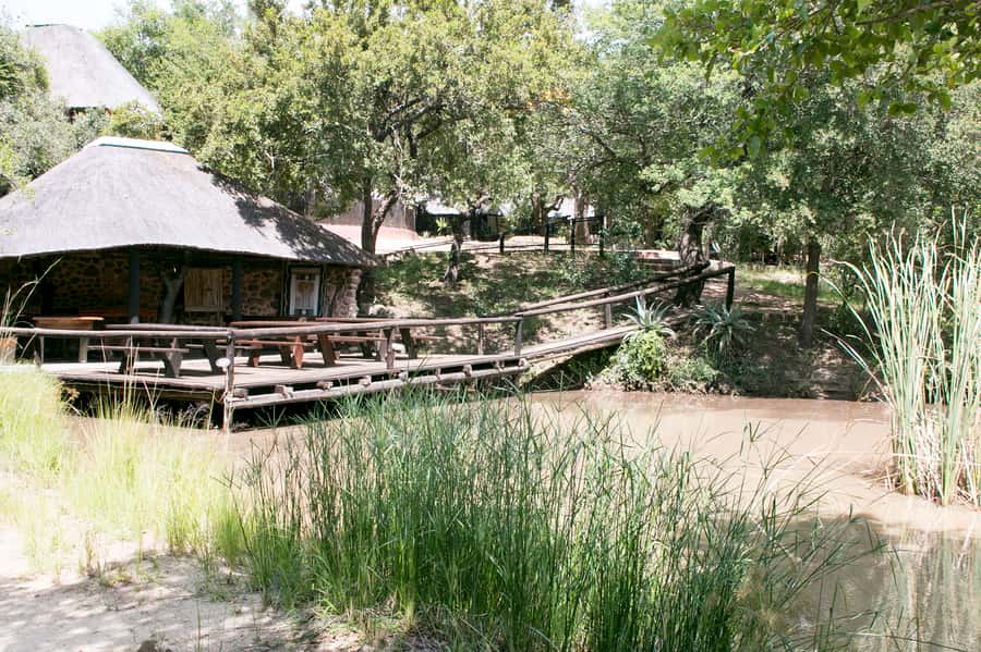From Johannesburg: 3-Day Budget Tent Kruger Park Safari - Marc’s Camp and the morning game walk