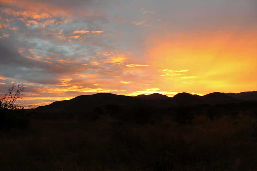 From Johannesburg: Pilanesberg Nature Reserve Game Safari - Who will enjoy this safari most