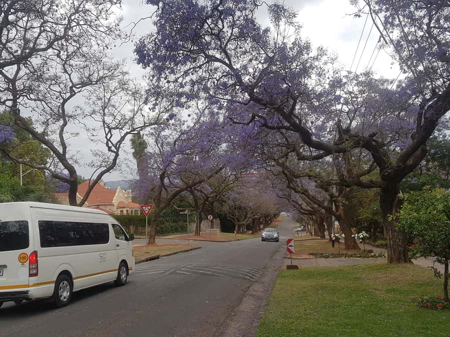 From Johannesburg: Pretoria Half Day Tour - Key points to know before you book