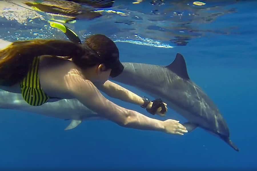 From Kendwa: Mnemba Boat Trip and Dolphin Snorkel Adventure - Why the dolphin encounter matters
