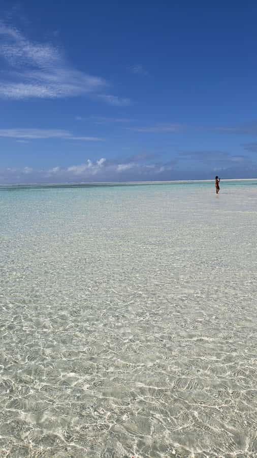 From Kendwa: Mnemba Boat Trip and Dolphin Snorkel Adventure - Mnemba Atoll and the coral reef