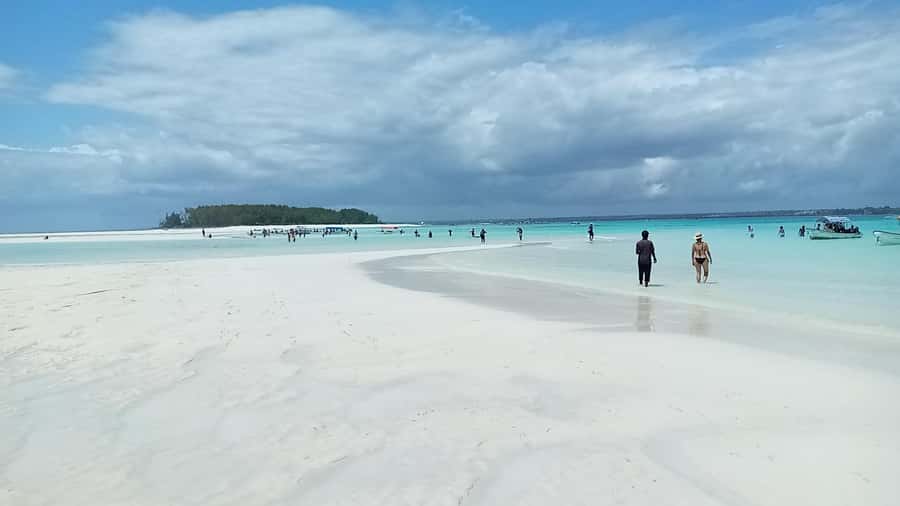 From Kendwa: Mnemba Boat Trip and Dolphin Snorkel Adventure - Should you book the Mnemba boat trip?