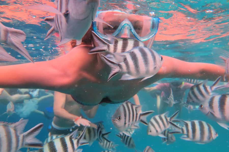 From Kendwa: Mnemba Boat Trip and Dolphin Snorkel Adventure - FAQ
