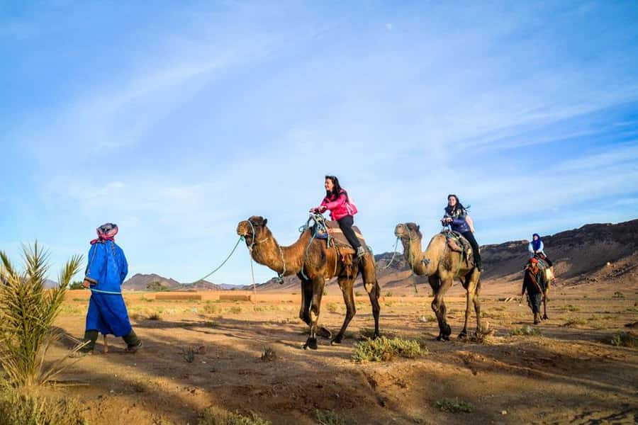 From Marrakech: 2-Day Desert Excursion - Leaving Marrakech for the High Atlas