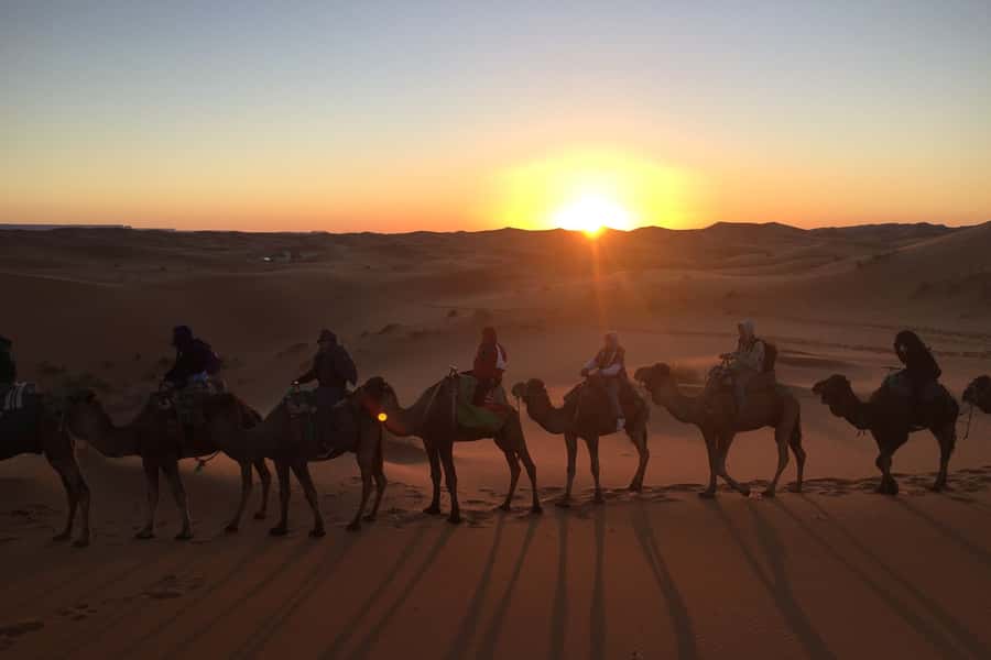 From Marrakech: 2-Day Sahara Tour to Zagora & Ait Ben Haddou - Dinner, music, and a night in the desert camp