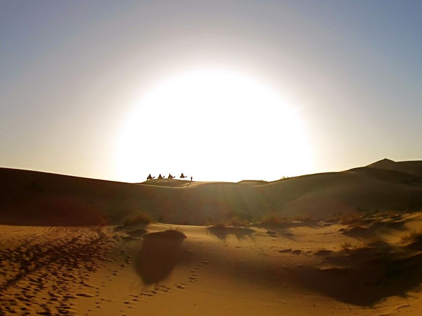 From Marrakech: 2-Day Zagora Desert Trip - Dinner, music, and a dark desert sky