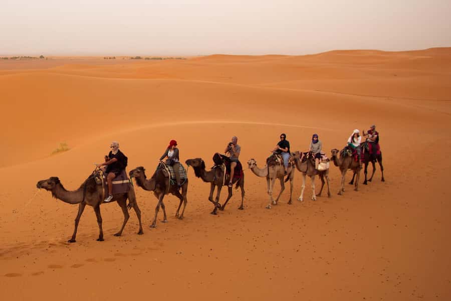 From Marrakech: 3-Day Desert Tour to Fes via Erg Chebbi - Key points to know before booking