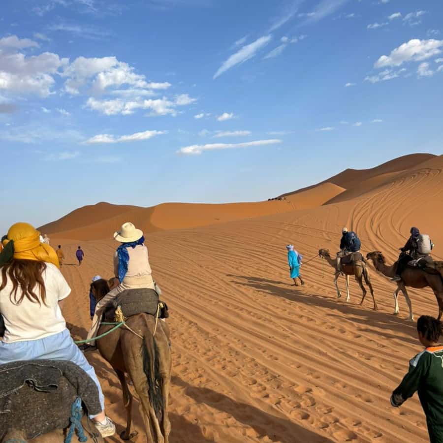 From Marrakech: 3 Day Round Trip To Merzouga Desert & Camel - What this Marrakech to Merzouga tour really covers