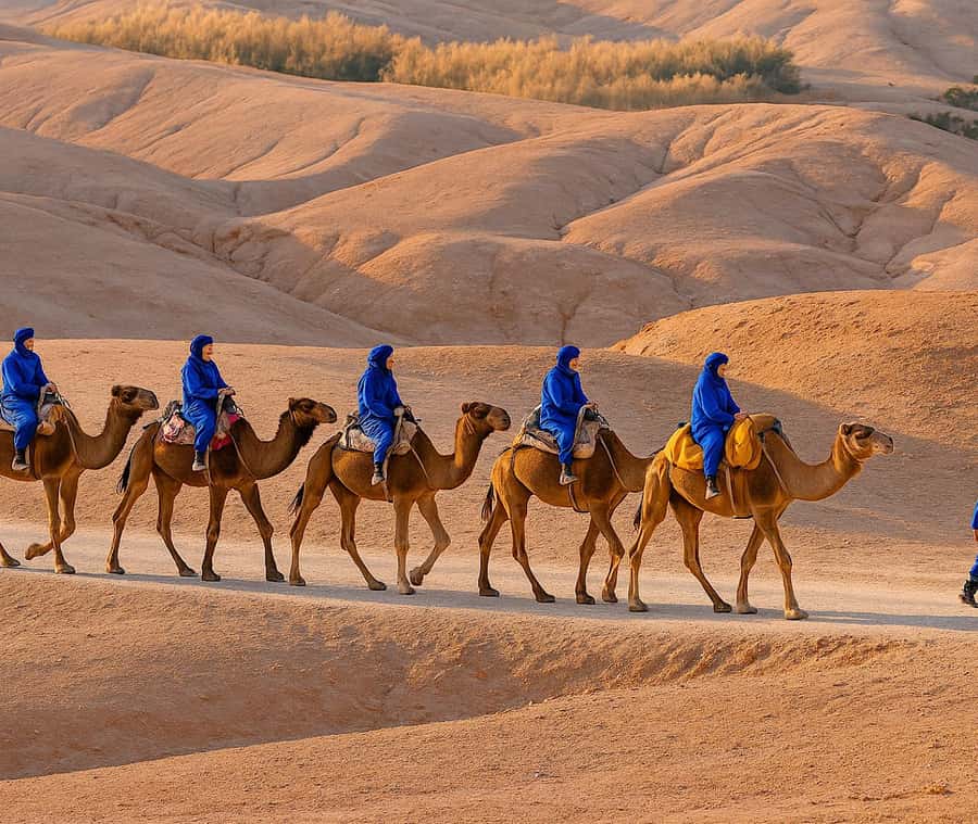 From Marrakech: Agafay Desert Dinner and Optional Camel Ride - Lalla Takerkoust and the Atlas Mountain view