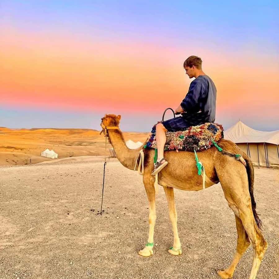From Marrakech: Agafay Desert Dinner with Quad & Camel Ride - Leaving Marrakech for Agafay at sunset