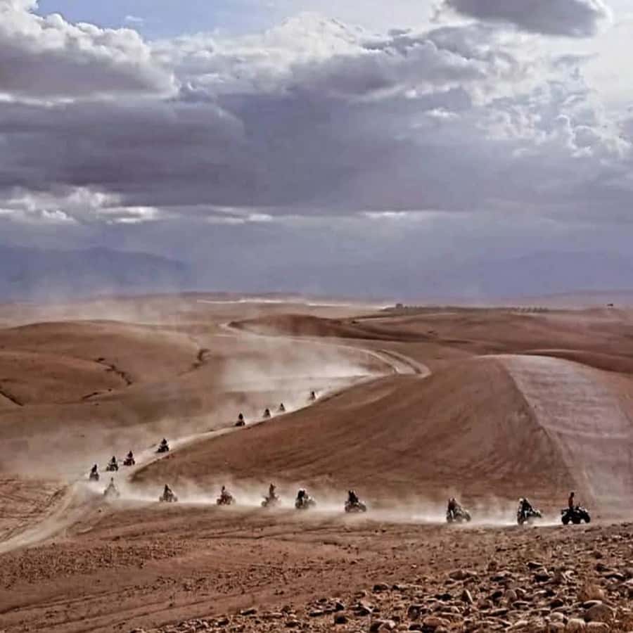 From Marrakech: Agafay Desert Dinner with Quad & Camel Ride - What the guides add to the evening