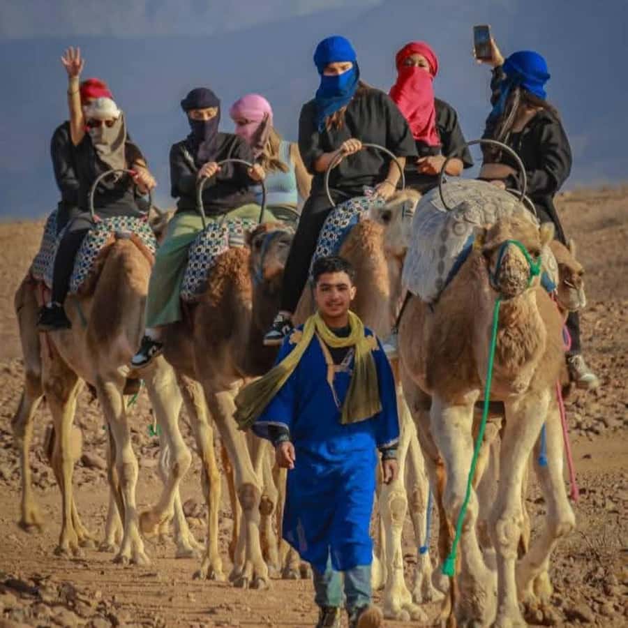 From Marrakech: Agafay Desert Dinner with Quad & Camel Ride - Is $23 good value for this Agafay trip?