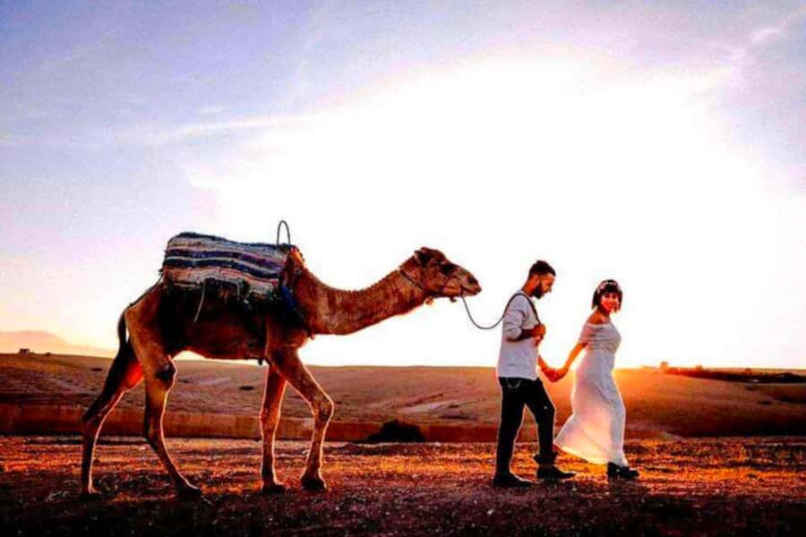 From Marrakech: Agafay Desert Sunset Dinner with Live Show - Is $27 good value?