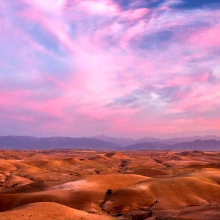 From Marrakech: Agafay Desert Sunset Dinner with Live Show - Camel rides and quad biking: what is really included