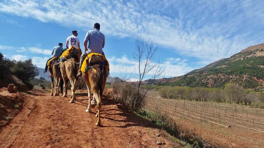 From Marrakech: Atlas Mountains 45-Minute Horseback Ride - Views across the Asni Valley and Al Haouz plains