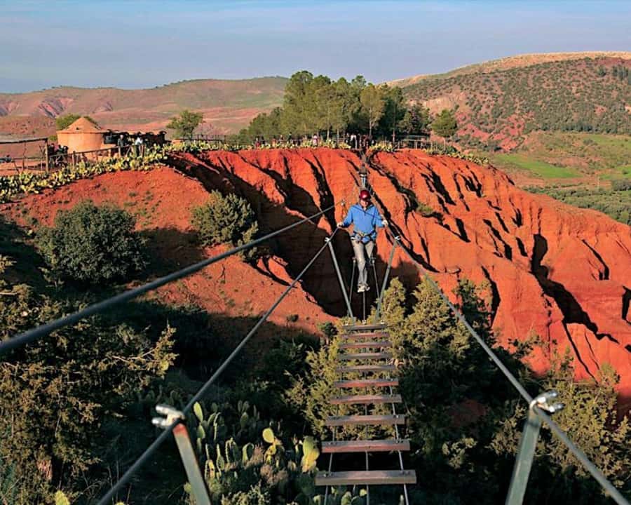 From Marrakech: Atlas Mountains Zip Line Tour Adventure - Four flights over pine forest