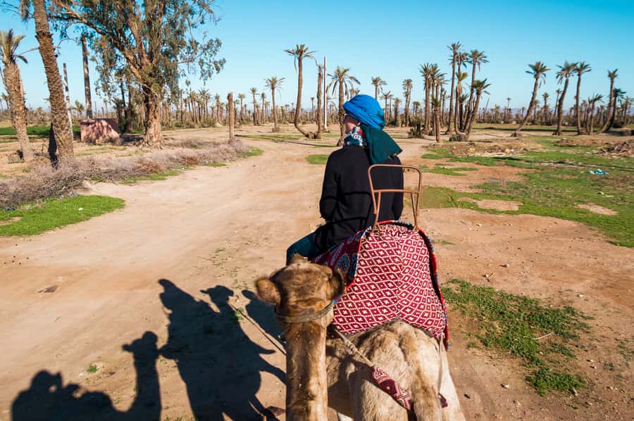 From Marrakech: Camel Ride, Quad Bike & Spa Full-Day Trip - Quad biking across the Palmeraie