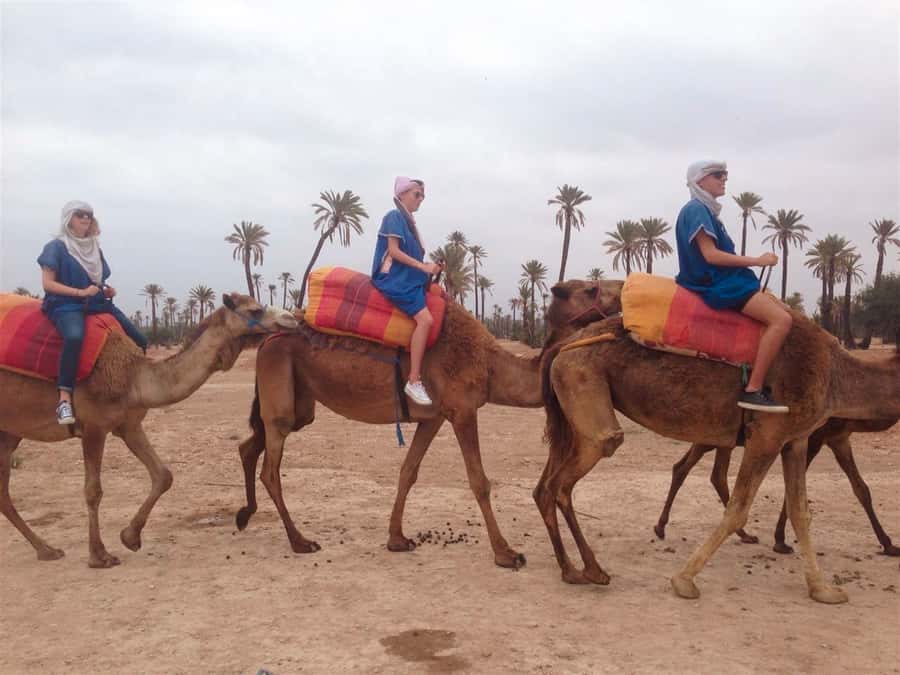 From Marrakech: Camel Ride, Quad Bike & Spa Full-Day Trip - One hour among palms and orange trees