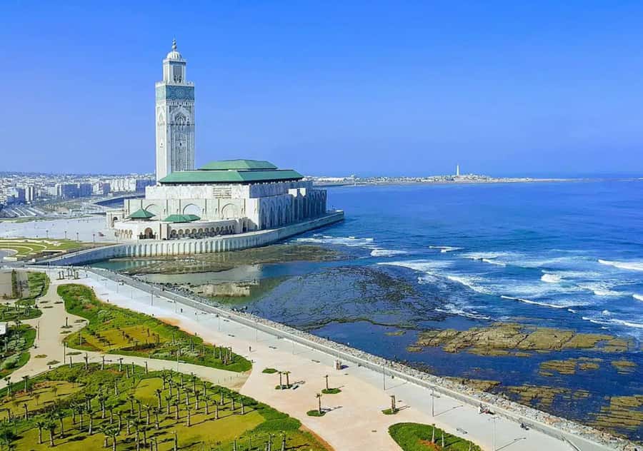From Marrakech: Casablanca Tour with Hassan II Mosque Visit - Mohammed V Square and the city’s formal face