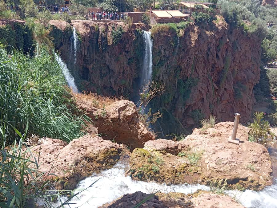 From Marrakech: Day Tour to Ouzoud Waterfalls - Wild monkeys and the right way to watch them