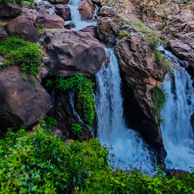 From Marrakech: Day Trip to Anima Garden and Imlil Valley - Should you book the Anima and Imlil day trip?