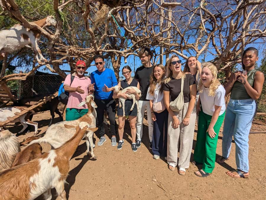 From Marrakech: Day Trip to Essaouira with Transfers - Four hours inside the medina and harbor