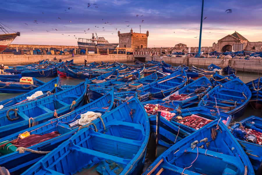 From Marrakech: Essaouira & Atlantic Coast Full-Day Trip - First look at Essaouira’s beaches and walls