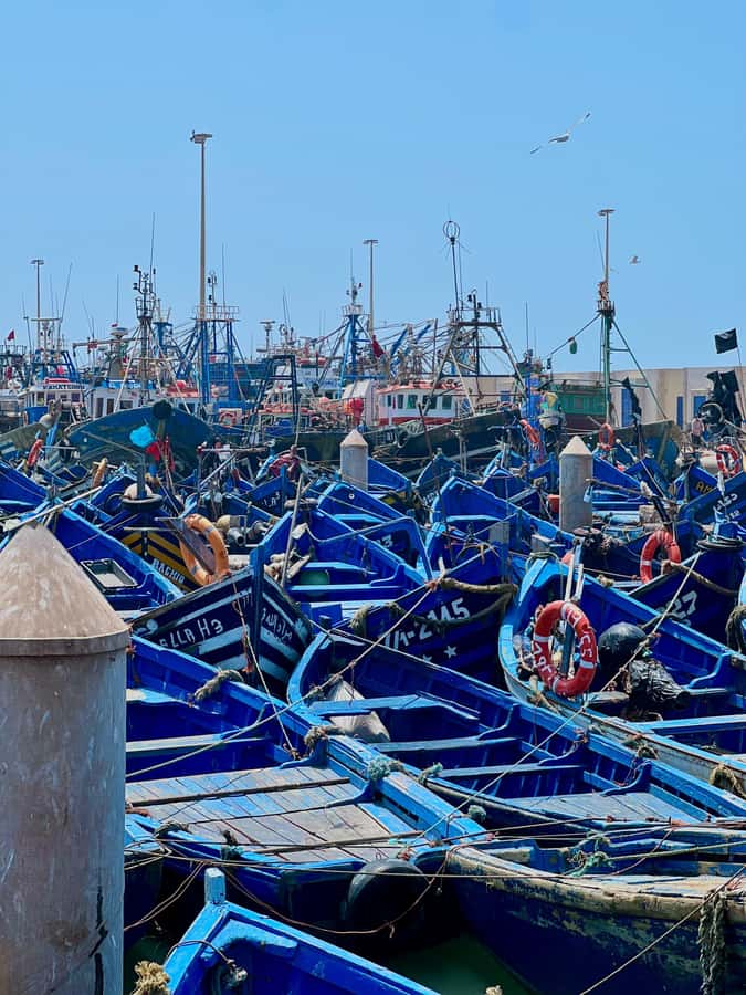 From Marrakech: Essaouira Coastal City Day Trip - Why Essaouira makes a good break from Marrakech