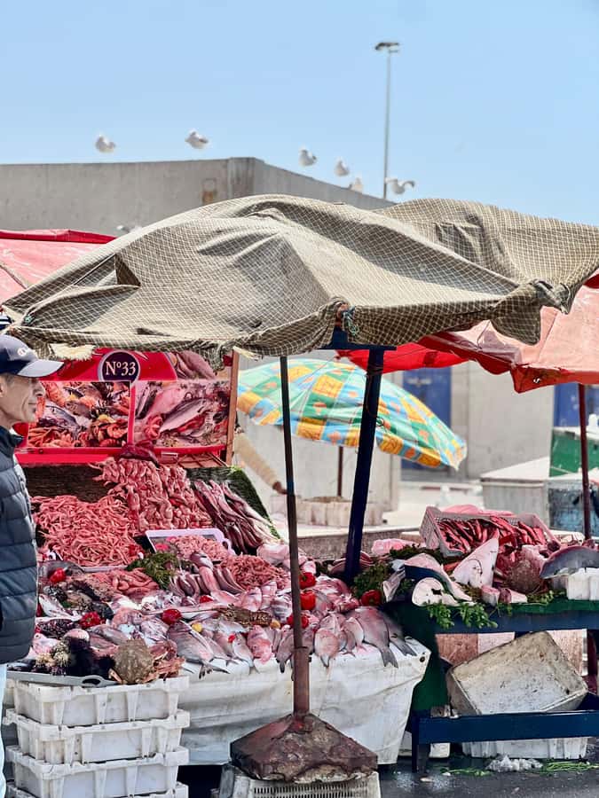 From Marrakech: Essaouira Coastal City Day Trip - Who should book this Essaouira day trip