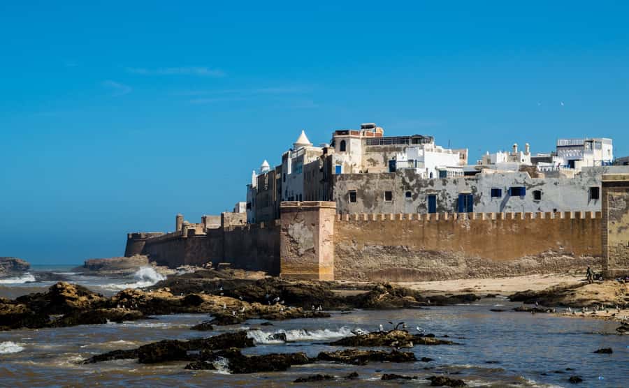 From Marrakech: Essaouira Coastal Escape with Lunch - Lunch near the harbor and free time