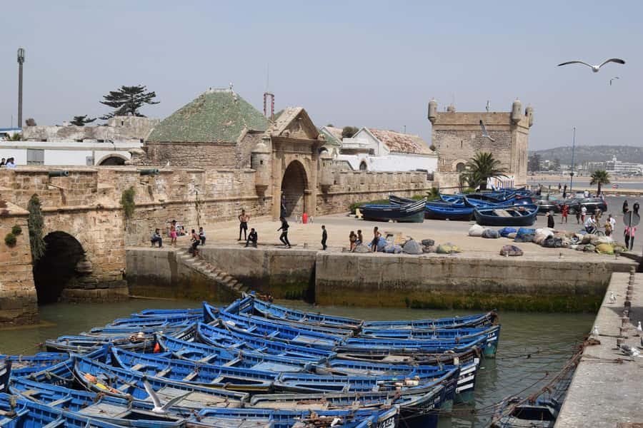 From Marrakech: Essaouira Coastal Escape with Lunch - What the $8 price really means