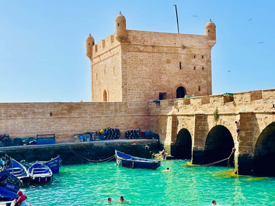 From Marrakech: Essaouira Day Trip with Beach Activities - Four Hours Inside the Essaouira Medina