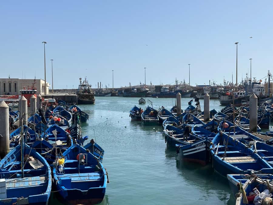 From Marrakech: Essaouira day Trip with camel, horse & quad - Four Hours in Essaouira’s Port and Medina