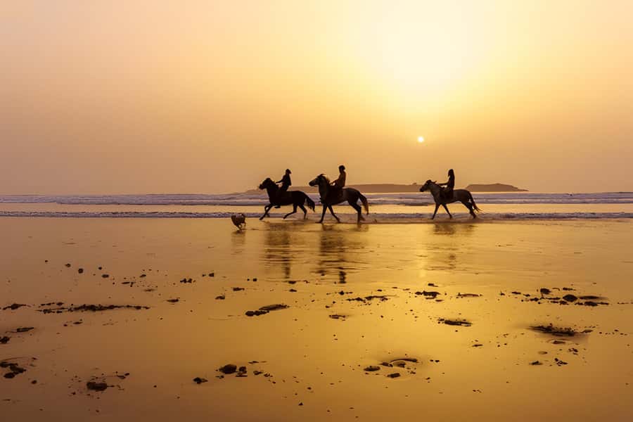 From Marrakech: Essaouira day Trip with camel, horse & quad - The Beach, Camel Rides, and Quad Options