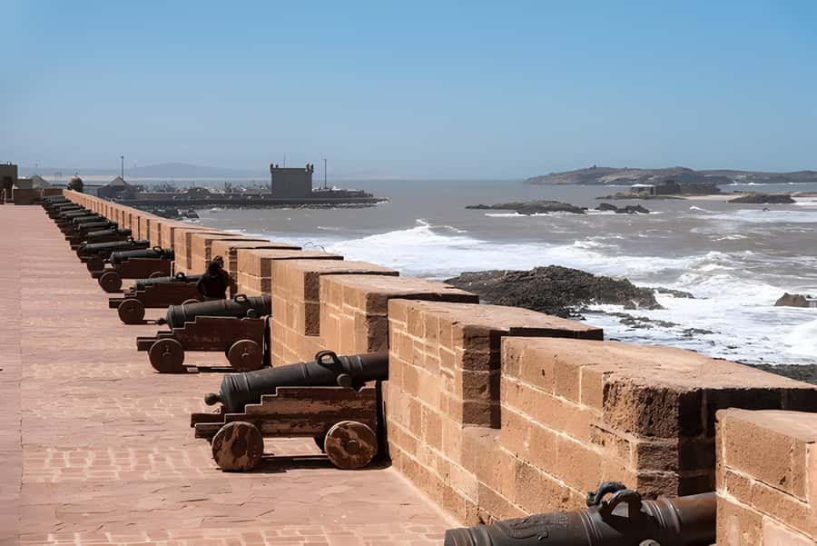 From Marrakech: Essaouira day Trip with camel, horse & quad - What the Service Is Like on the Day