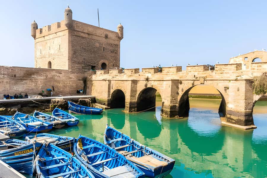 From Marrakech: Essaouira Full-Day Trip with Activities - Transport, pickup, and what is included