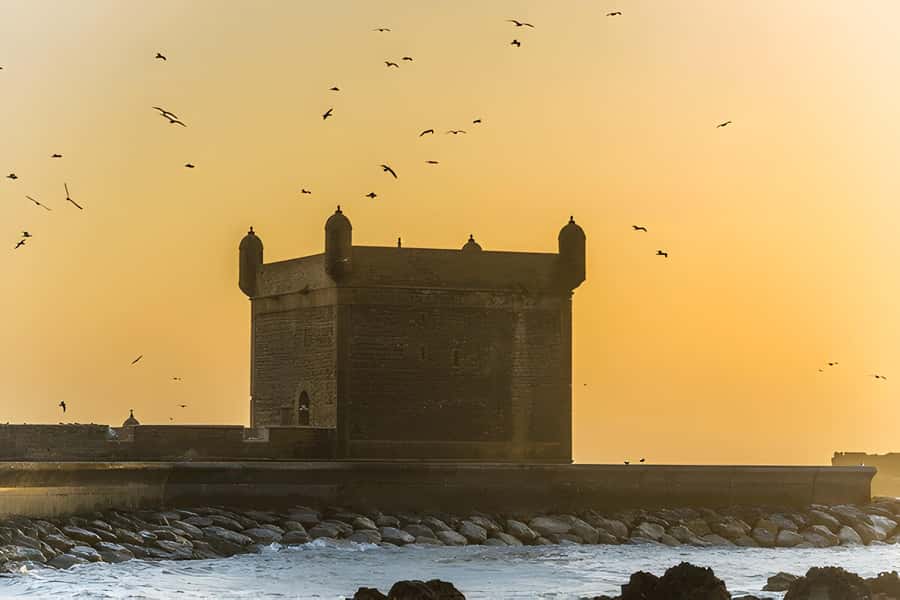From Marrakech: Essaouira Full-Day Trip with Activities - Who should book this day trip?