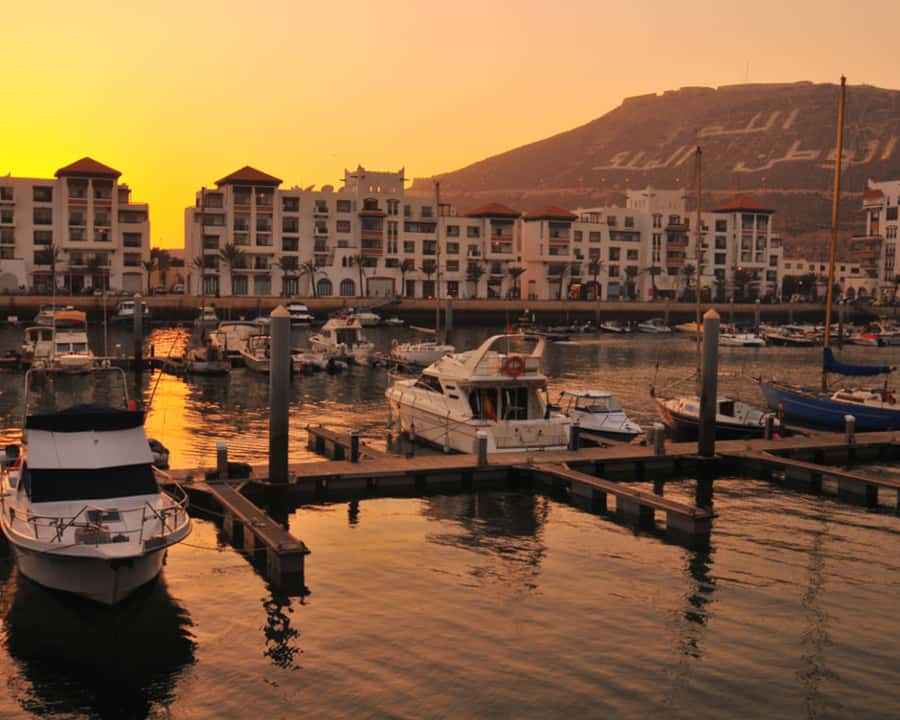 From Marrakech: Full-Day Trip to Agadir - Crocoparc, where the day gets interesting