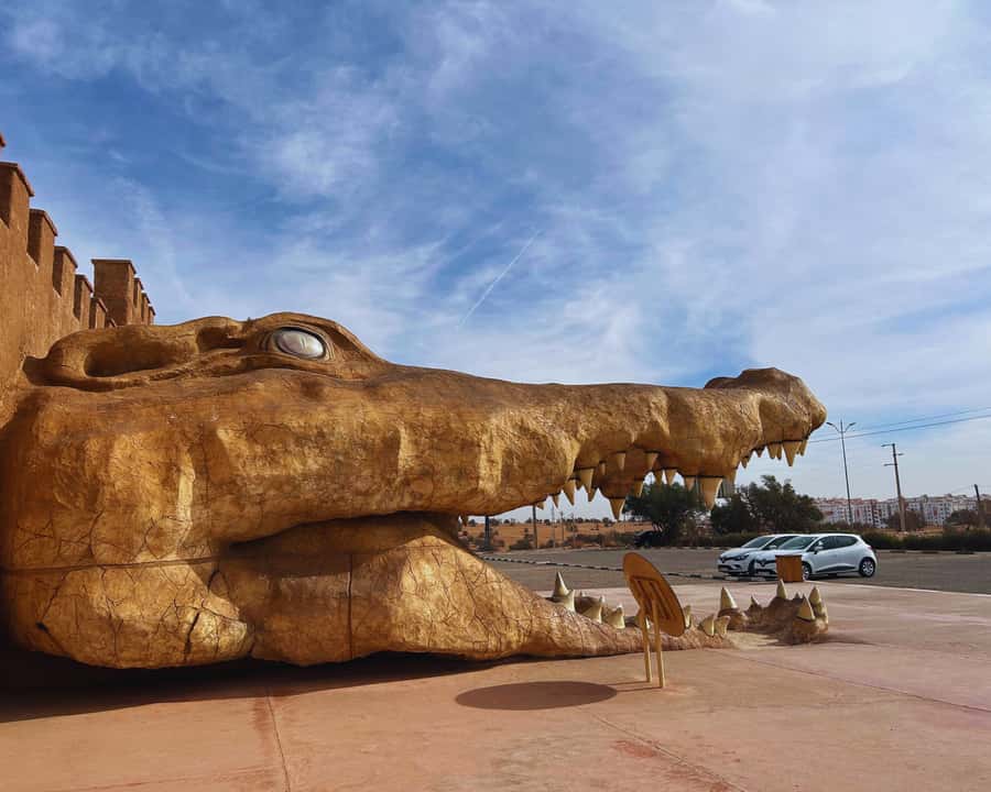 From Marrakech: Full-Day Trip to Agadir - The people behind the wheel