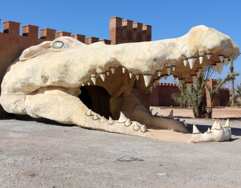 From Marrakech: Full-Day Trip to Agadir - What to bring and how to pace the day