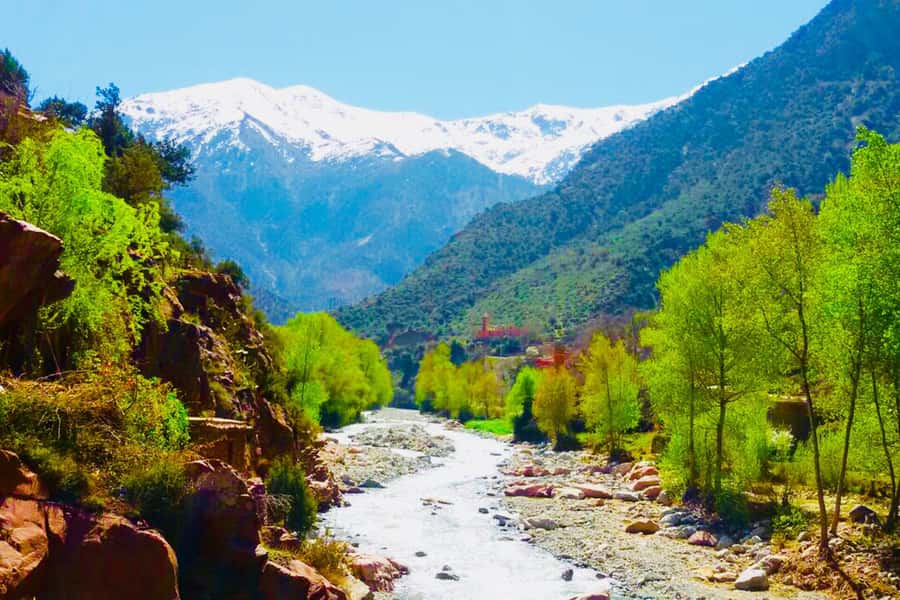 From Marrakech: Half-Day Tour to Atlas Mountains & Ourika - Leaving Marrakech for the Ourika Valley