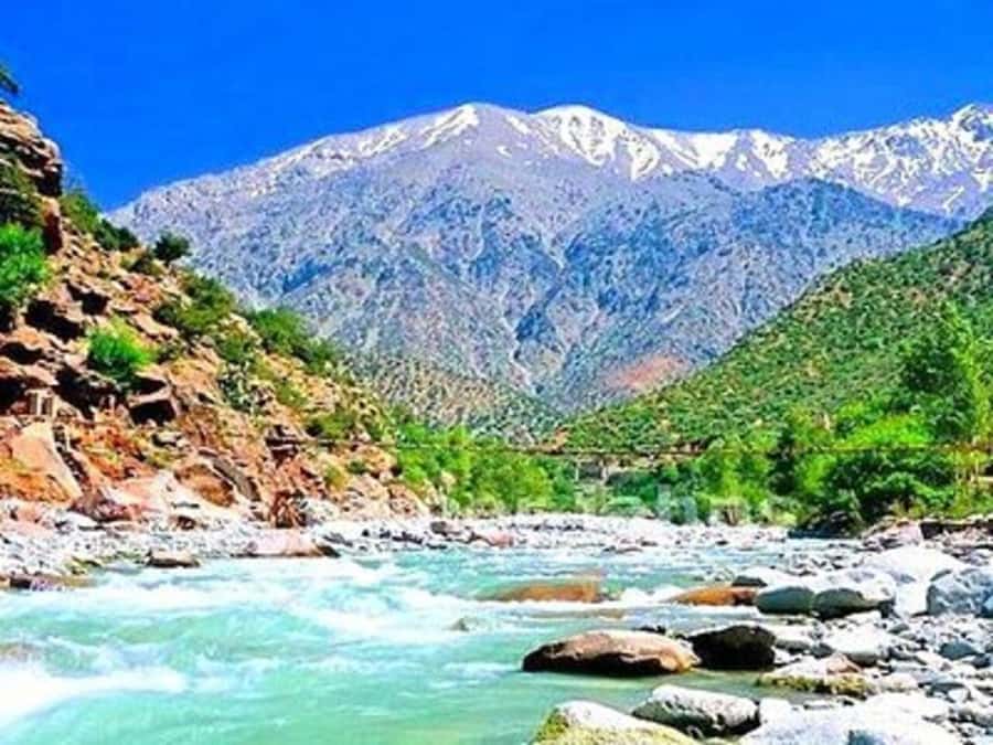 From Marrakech: Half-Day Tour to Atlas Mountains & Ourika - Taking the riverside option instead