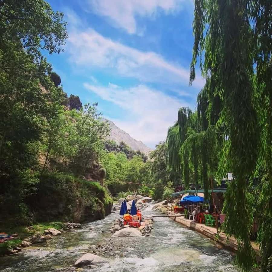 From Marrakech: Half-Day Tour to Atlas Mountains & Ourika - Price, value, and what is included